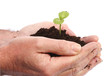 Photo: Growing with care Growing with care