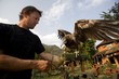 Man&Egyptian Vulture(Neophron Percnopterus), Pokhara, Nepal