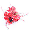 Barrette