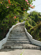 Escalier fleuri, baie des Saintes, Guadeloupe Escalier fleuri, baie des Saintes, Guadeloupe