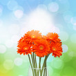 Gerberas in vase on spring background