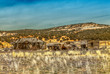 Old western wooden houses abandoned in a field Old western wooden houses abandoned in a field