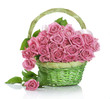 Beautiful Pink Roses in a Basket. Isolated on white