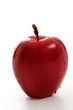 Apple on white background Apple on white background