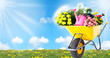 Gardening