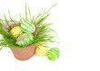 Photo: Easter eggs in a basket on a grass Easter eggs in a basket on a grass