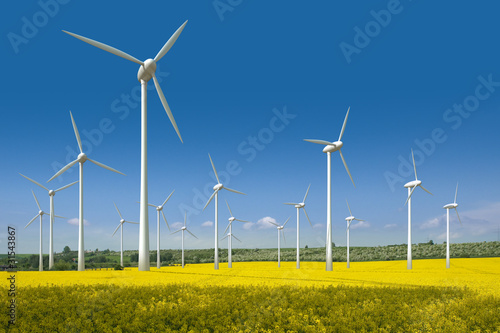 Photo: Windkrafträder in einem Rapsfeld Windkrafträder in einem Rapsfeld