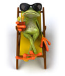 Grenouille et chaise longue Grenouille et chaise longue