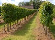 la chapelle du vignoble