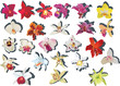 twenty four orchids with shadows collection