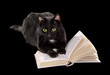 Black cat reading a book, isolated on black background