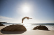 Man doing backflip on beach