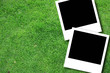 photo on green