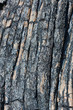 gros plan sur lave cordée, Piton de la Fournaise, île Réunion