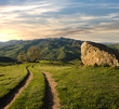 Green Valley In The Sunset
