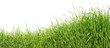 green grass