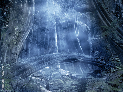 Illustration: foresta con nebbia foresta con nebbia