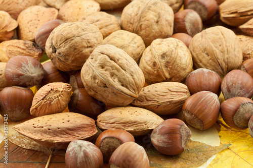 Photo : fruits secs d'automne : noix, noisettes et amandes fruits secs d'automne : noix, noisettes et amandes
