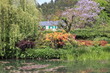river in the garden river in the garden