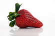 Fragola