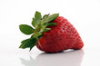 Fragole