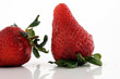 Fragole