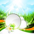 Vector background on a spring theme with flower. Vector background on a spring theme with flower.