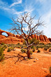 Arches Nationalpark