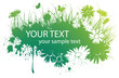 spring floral banner