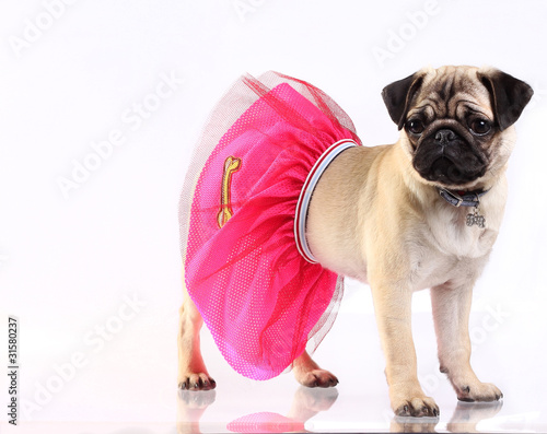 Photo: Lady mobs in pink skirt Lady mobs in pink skirt
