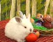 Easter eggs and bunnies
