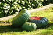 courge