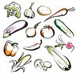 Vector: vegetables set of icons in black lines, aquarelle collors vegetables set of icons in black lines, aquarelle collors