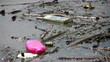 Polluted Environment