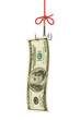 Fishing hook and money