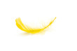 Feather