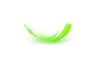 Feather