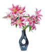 pink lily