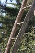 Echelle en bois 6