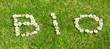 Gänseblümchen BIO