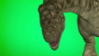 Dinosaur Argentinosaurus head closeup Dinosaur Argentinosaurus head closeup