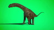 Dinosaur Argentinosaurus juvenile eating and drink. Dinosaur Argentinosaurus juvenile eating and drink.