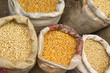 Foto: Seed Corn Seed Corn