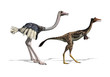Ostrich and Mononykus Dinosaur Comparision - 3d render