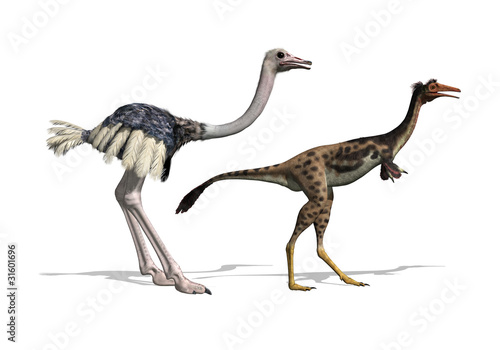 Illustration: Ostrich and Mononykus Dinosaur Comparision - 3d render Ostrich and Mononykus Dinosaur Comparision - 3d render