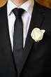 rose on the suit of groom