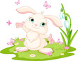Easter bunny and butterflies