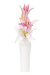 lily in a vase lily in a vase