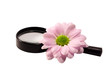 chrysanthemum and magnifier