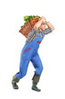 Farmer carrying a basket full of vegetables on his back Farmer carrying a basket full of vegetables on his back